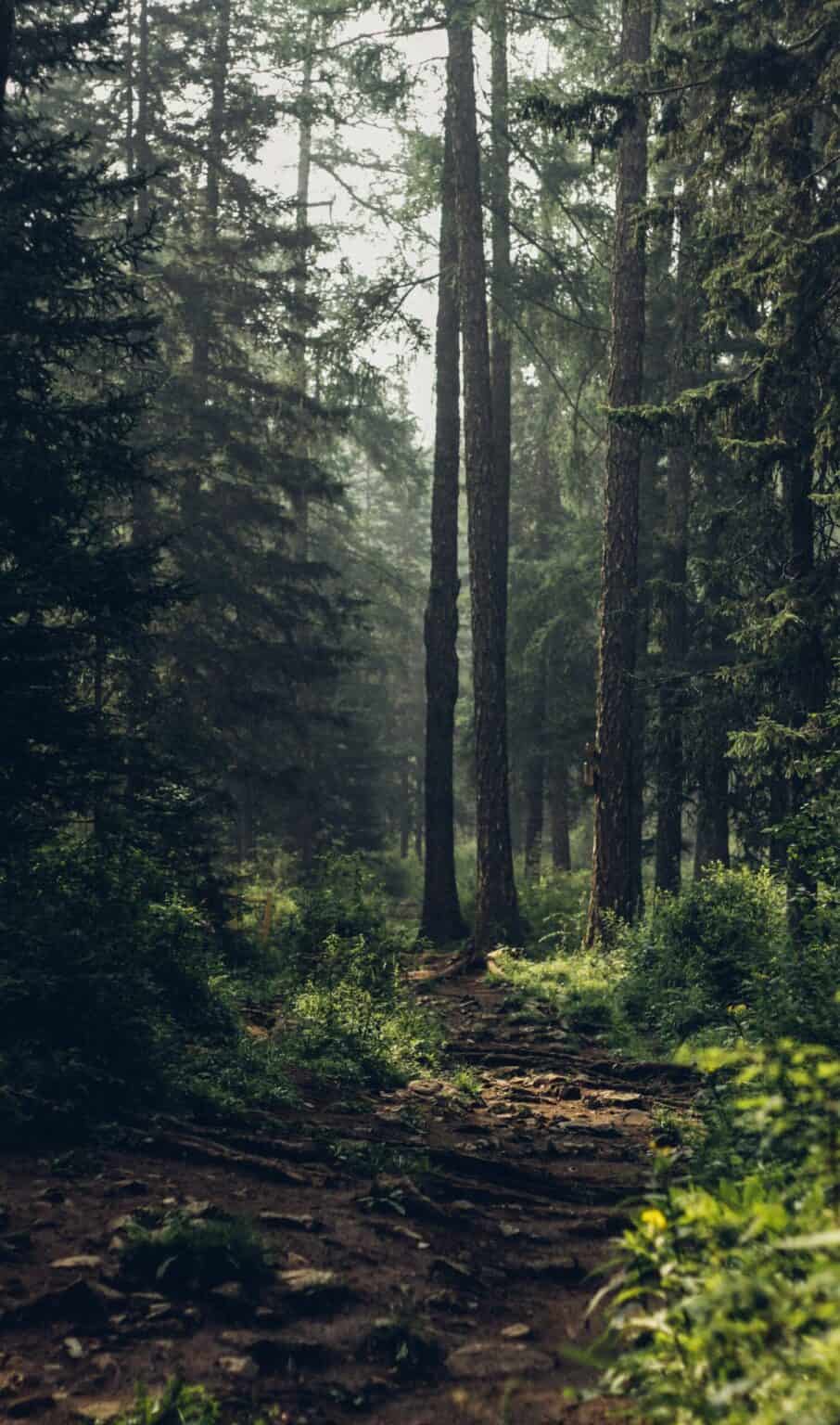 the-best-books-for-mental-growth-growintime